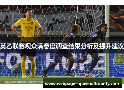 英乙联赛观众满意度调查结果分析及提升建议