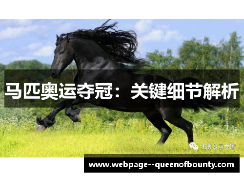 马匹奥运夺冠：关键细节解析